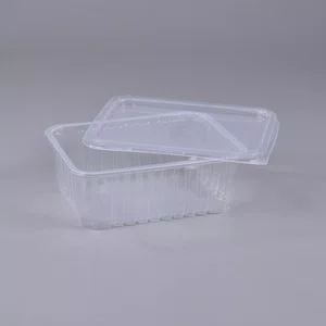 Pote Retangular Com Tampa 1000 ml - C/25 Unidades