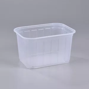 Pote Transparente Retangular 2000 ml - C/70 Unidades
